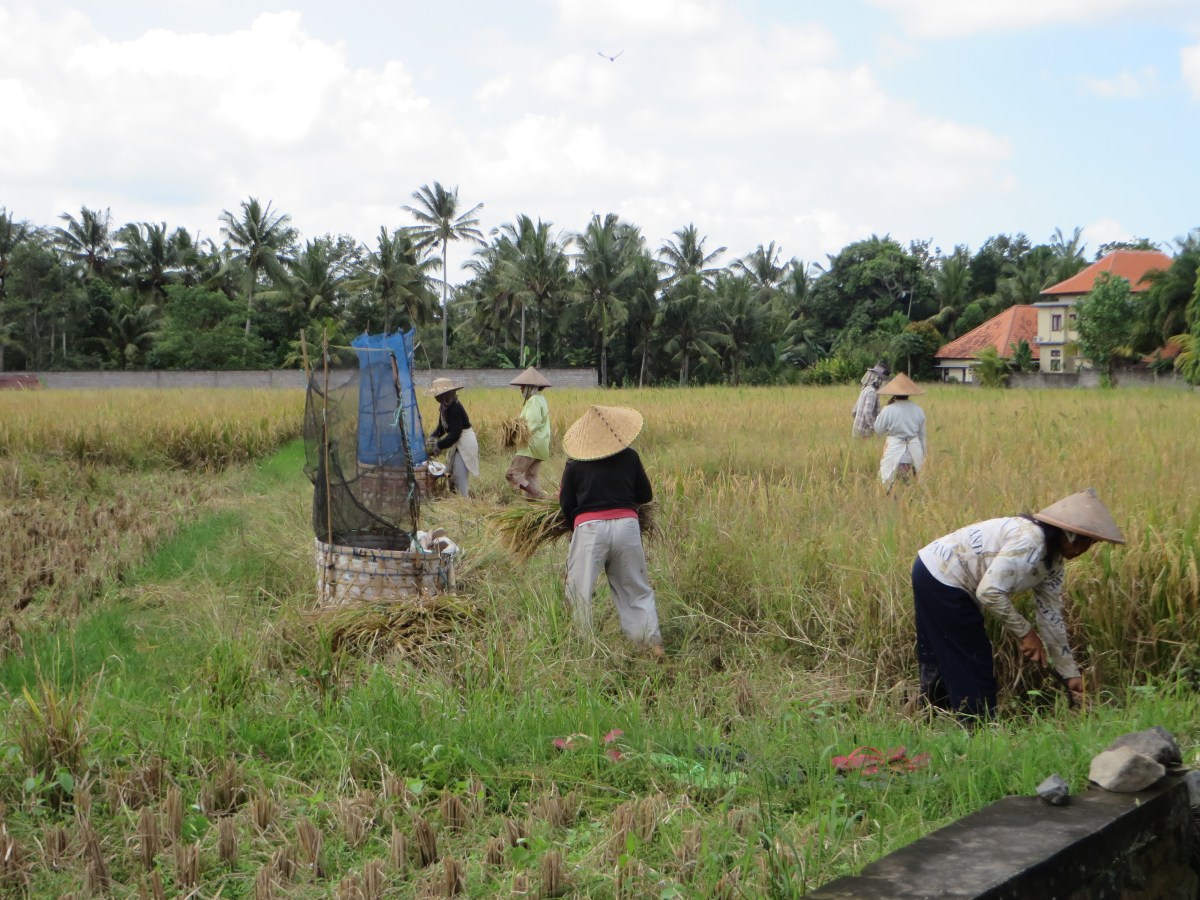 The Importance of Sustainable&nbsp;Travel