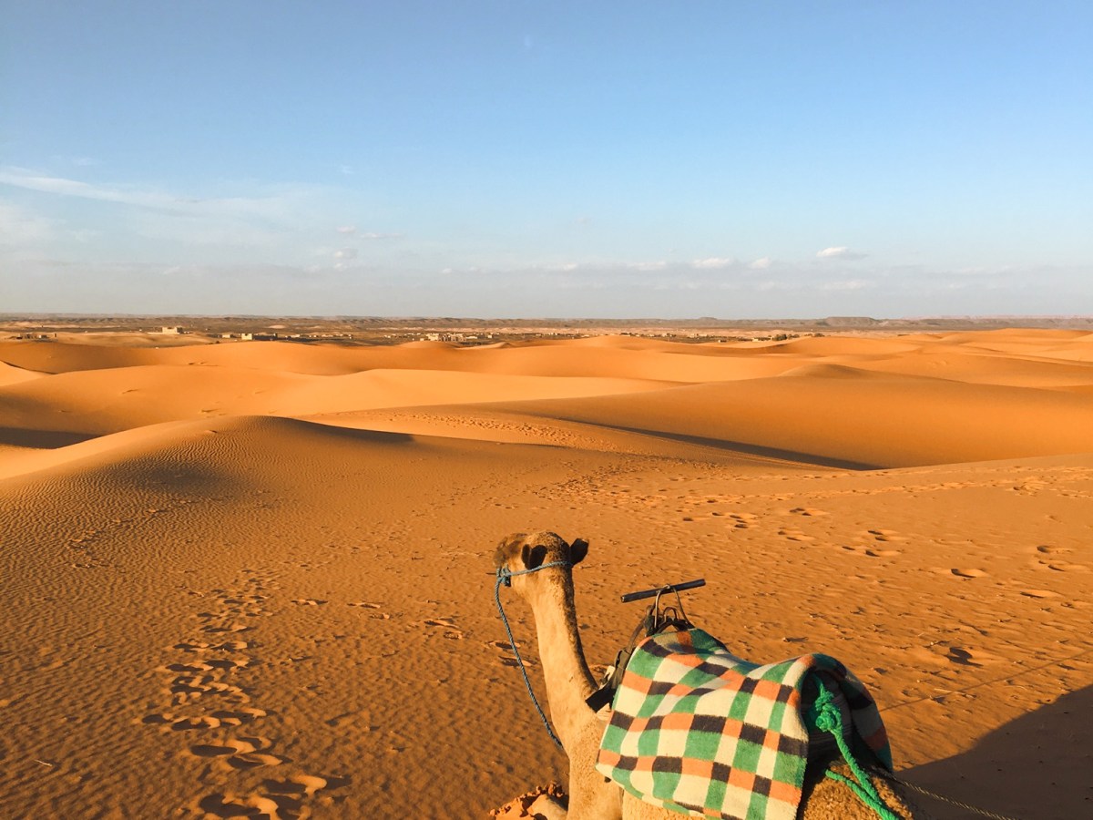 MOROCCO WITH INTREPID&nbsp;TRAVEL