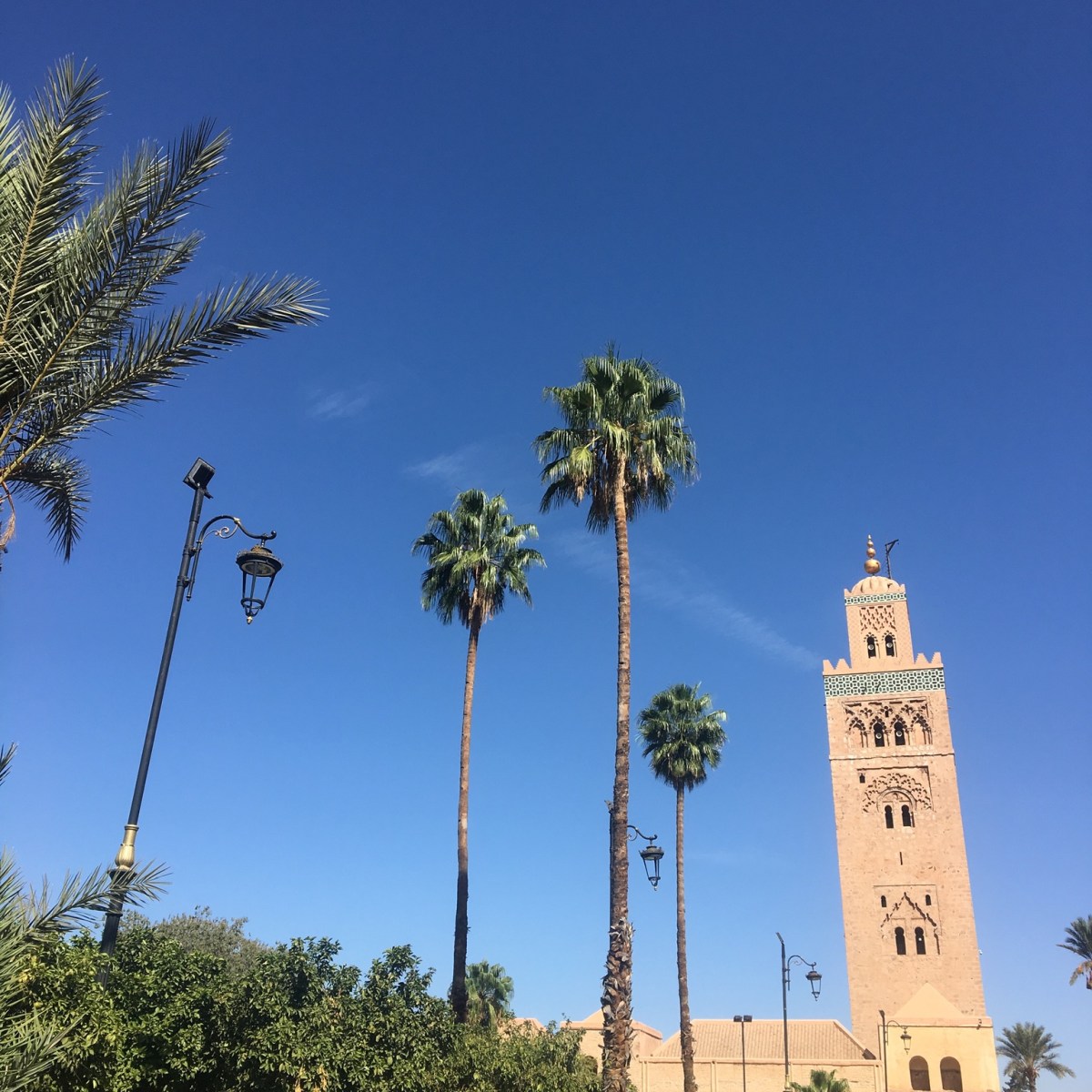 MINI BREAK IN&nbsp;MARRAKECH