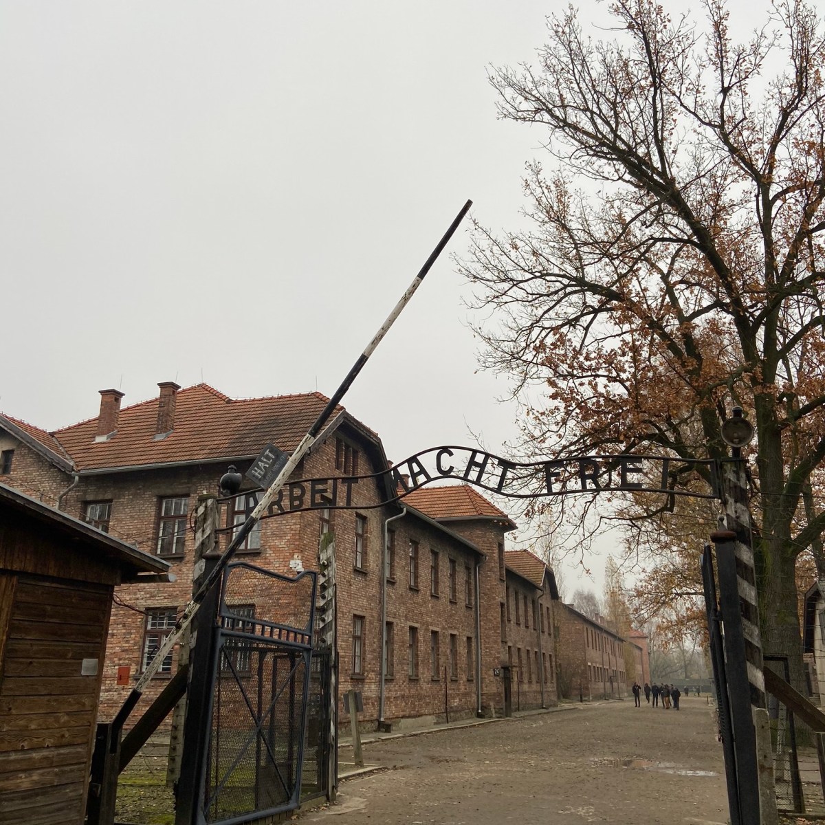AUSCHWITZ