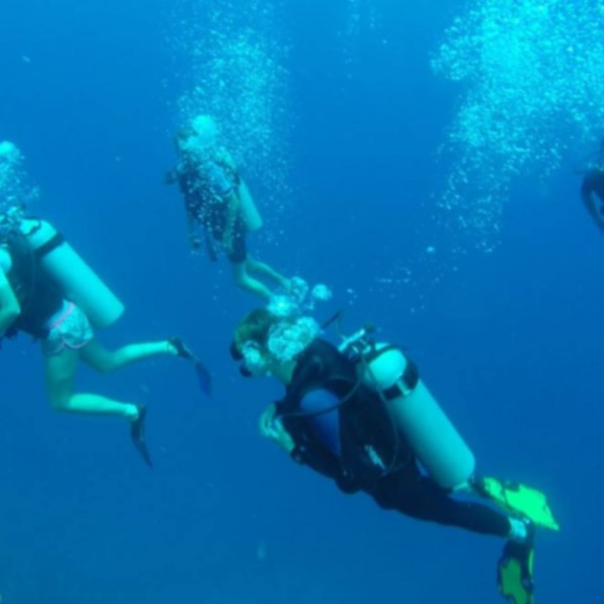SCUBA DIVING IN&nbsp;HONDURAS