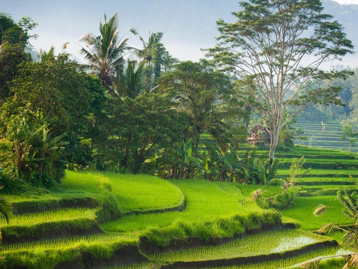 8 THINGS YOU MUST DO IN&nbsp;BALI