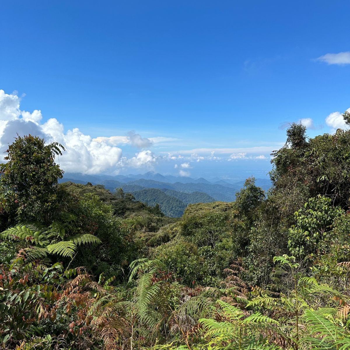 Two Week Itinerary for&nbsp;Malaysia