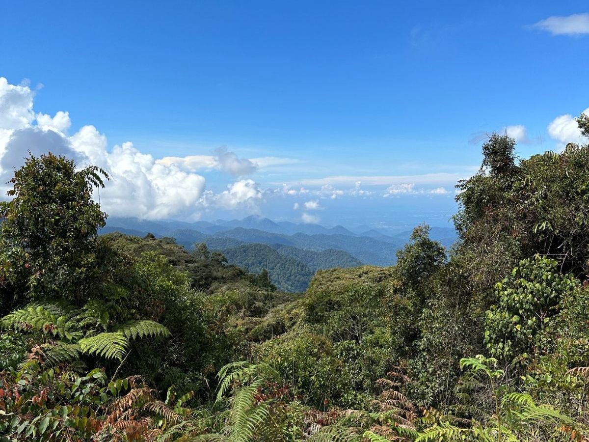 Two Week Itinerary for&nbsp;Malaysia