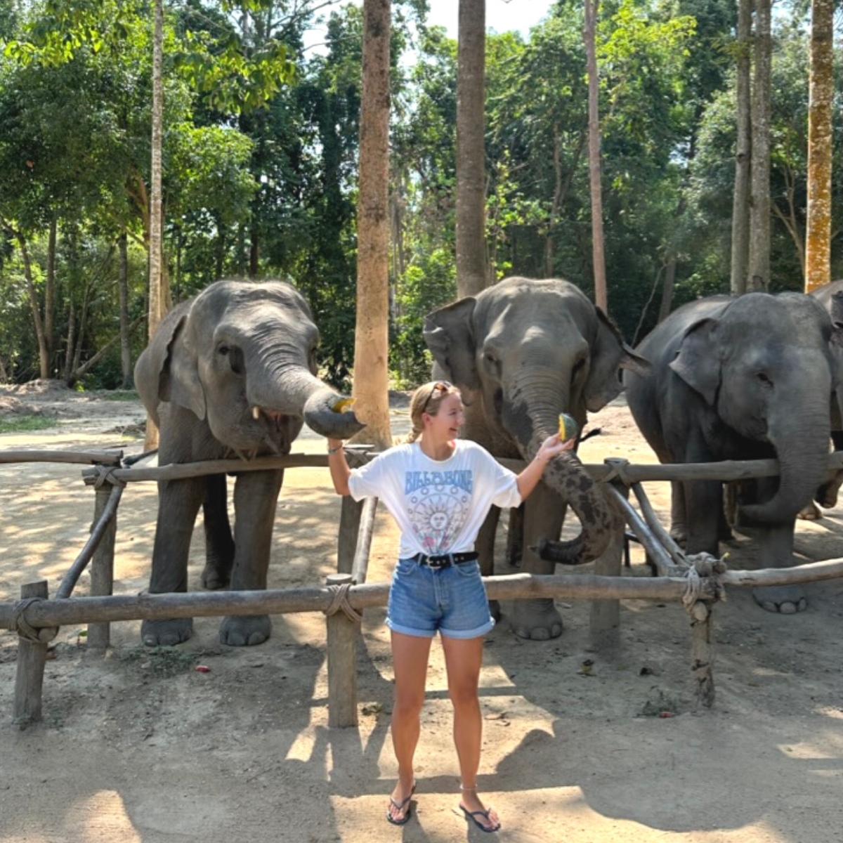 Visiting Elephant Jungle Sanctuary in Koh&nbsp;Samui