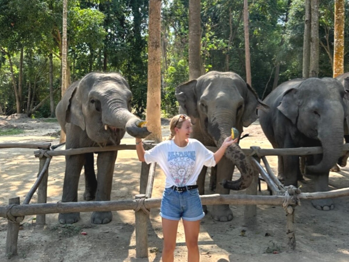 Visiting Elephant Jungle Sanctuary in Koh&nbsp;Samui