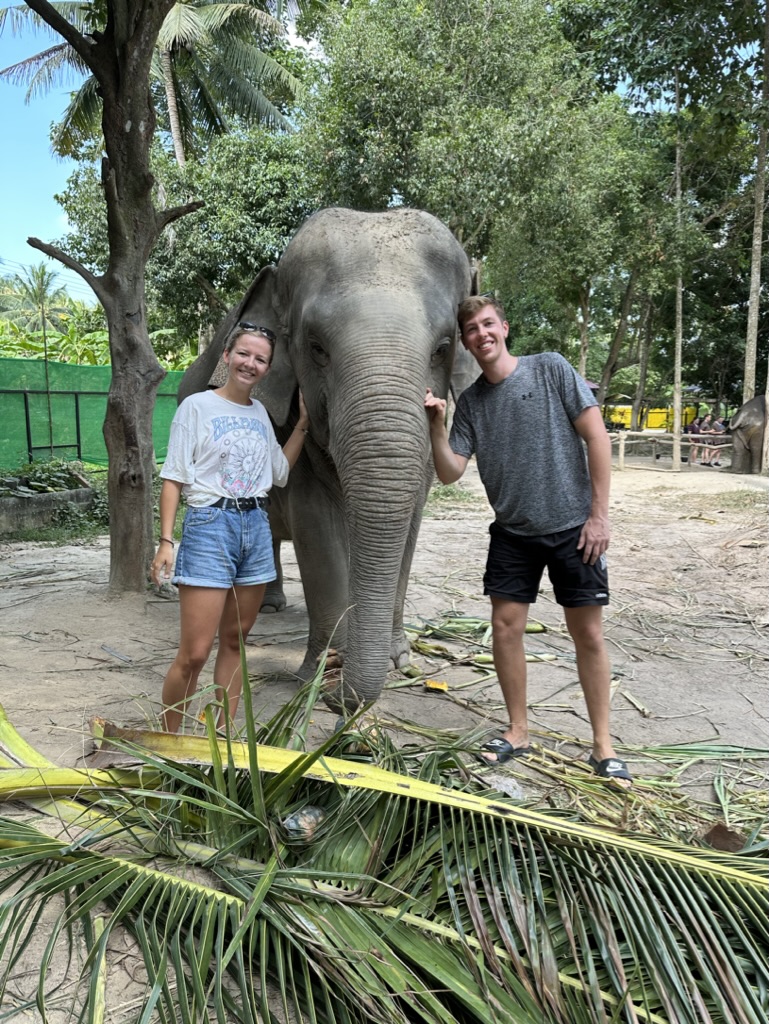 Kreatives Bild zu Visiting Elephant Jungle Sanctuary in Koh Samui – Where's Liv Visiting Elephant Jungle Sanctuary in Koh Samui – Where's Liv Illustration