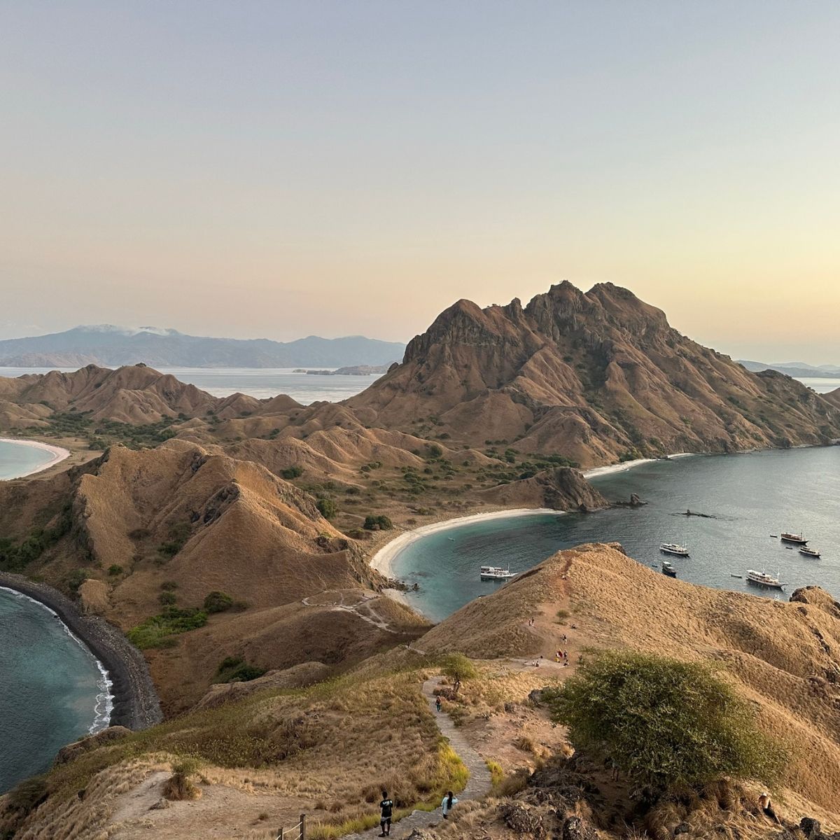 4D/3N Komodo Islands Sailing&nbsp;Trip