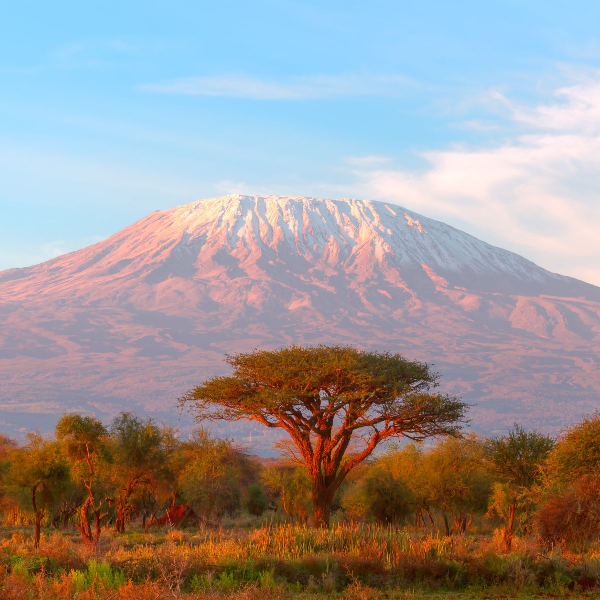 I’m Climbing Mount&nbsp;Kilimanjaro!